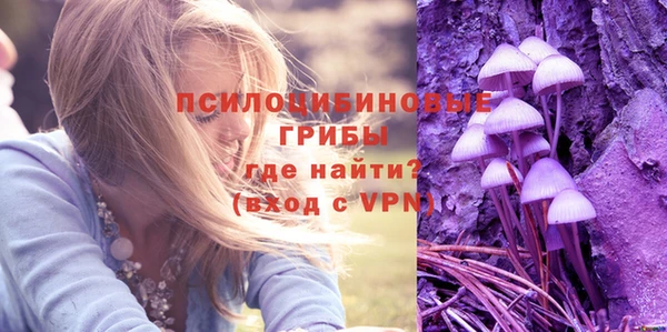 прущие грибы Абдулино