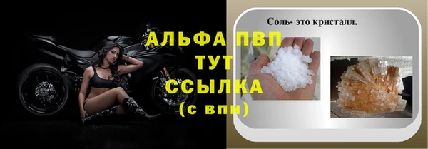 прущие грибы Абдулино