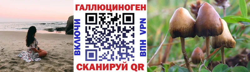 Псилоцибиновые грибы прущие грибы  наркошоп  Рязань 